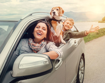 Golden Trust Insurance